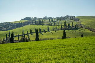 Living in Revel means enjoying peaceful countryside, scenic walking routes and easy access to the beautiful landscapes of Occitanie