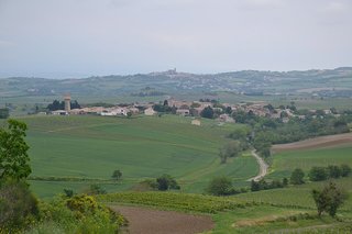 Malepère is één van de verborgen wijnregio’s van Occitanie. De regio staat bekend om haar rustige wijngaarden en om elegante wijnen met een duidelijke nadruk op fruit.