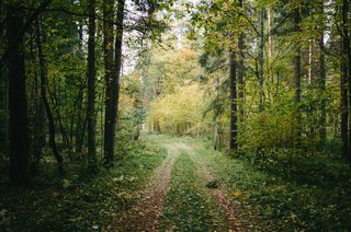 De Montagne Noire in Frankrijk te voet verkennen, toont vredige bossen, adembenemende uitzichtpunten en enkele van de best bewaarde geheimen van Occitanie. De Montagne Noire in Frankrijk te voet verkennen, toont vredige bossen, adembenemende uitzichtpunten en enkele van de best bewaarde geheimen van Occitanie.