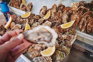 Occitanie Properties