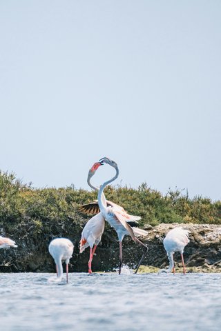 Landschappen van Zuidwest-Frankrijk.