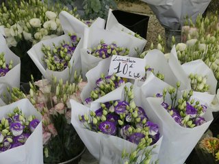 Een levendige zaterdagmarkt in L’Isle-en-Dodon, gevuld met verse producten, lokale handelaren kenmerkend voor de bruisende sfeer van het dorpsleven in Occitanië. Een levendige zaterdagmarkt in L’Isle-en-Dodon, gevuld met verse producten, lokale handelaren kenmerkend voor de bruisende sfeer van het dorpsleven in Occitanië.