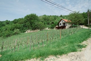 Propriété rurale traditionnelle en Occitanie alliant un logement et un potentiel d’activité. Propriété rurale traditionnelle en Occitanie alliant un logement et un potentiel d’activité.