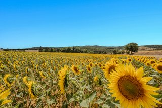 Embrace the rhythm of southern living