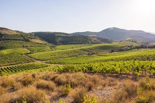 Occitanie Properties: where dreams take root